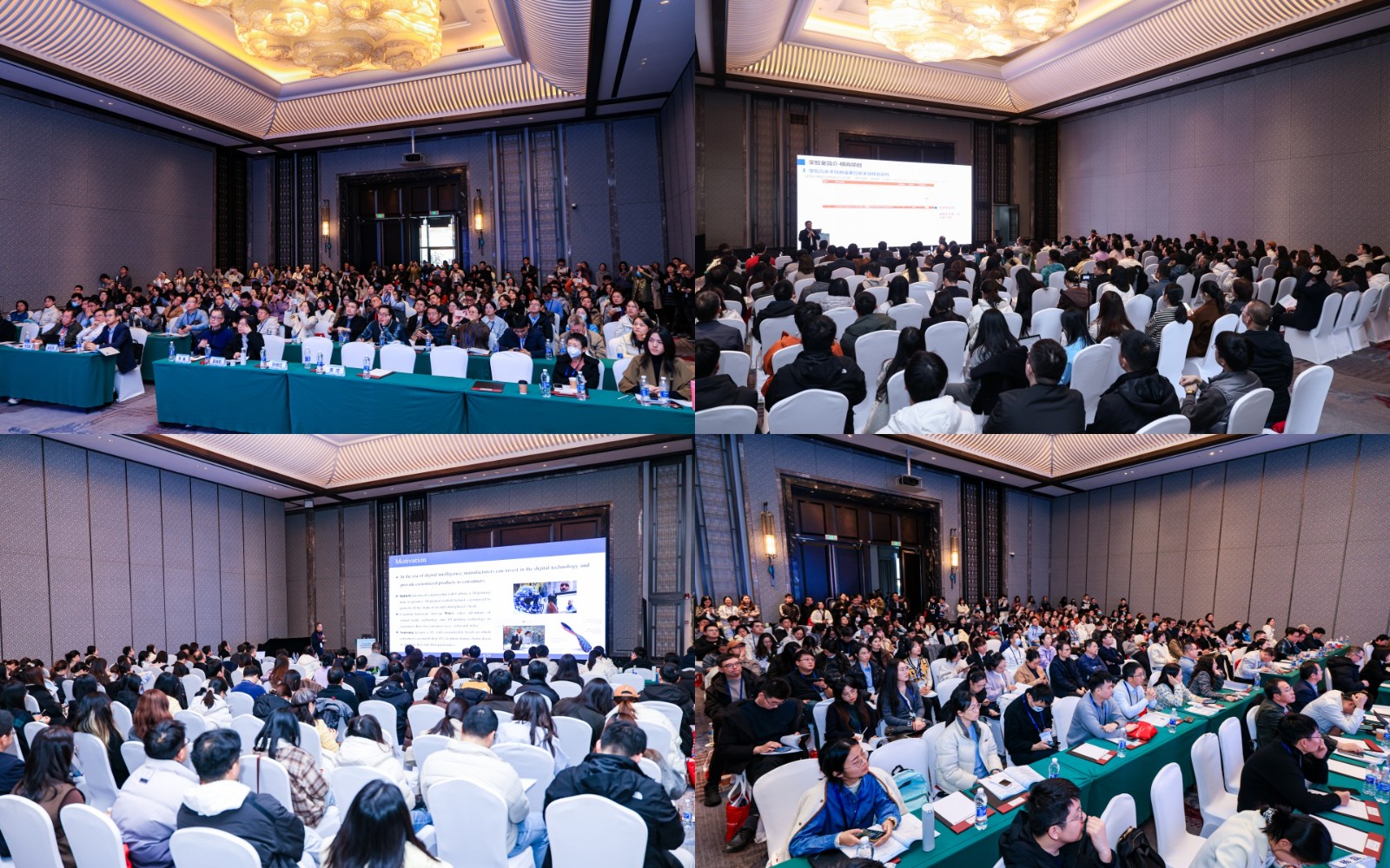 1765180604741365.jpg 杰出论坛拼图.jpg